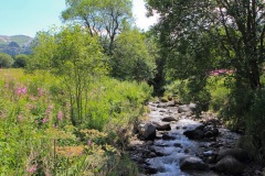 La rivière Dordogne prend sa source dans le Massif Sancy